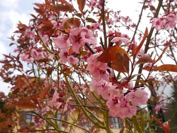 Hütte für 7 Personen in Franken, Fränkische Schweiz, Bild 4