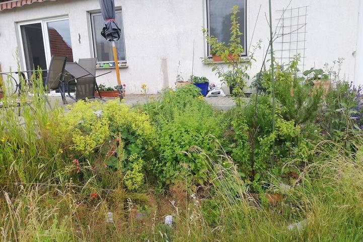 Ferienwohnung für 4 Personen in Wittenburg