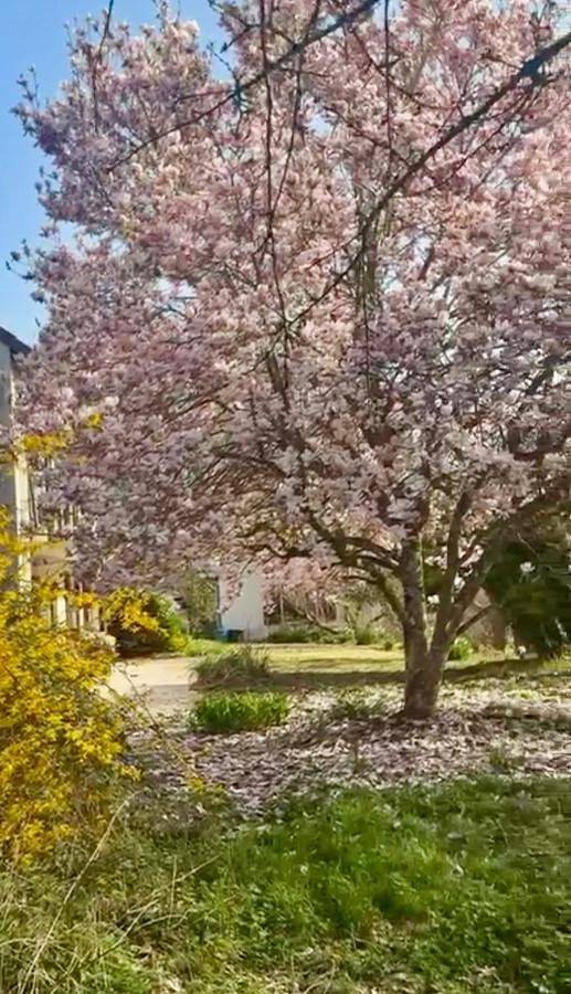Location de vacances pour 4 personnes, avec jardin et vue à Mareuil-sur-Cher