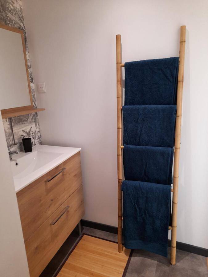 Gîte pour 4 personnes, avec vue à Leffrinckoucke - 4