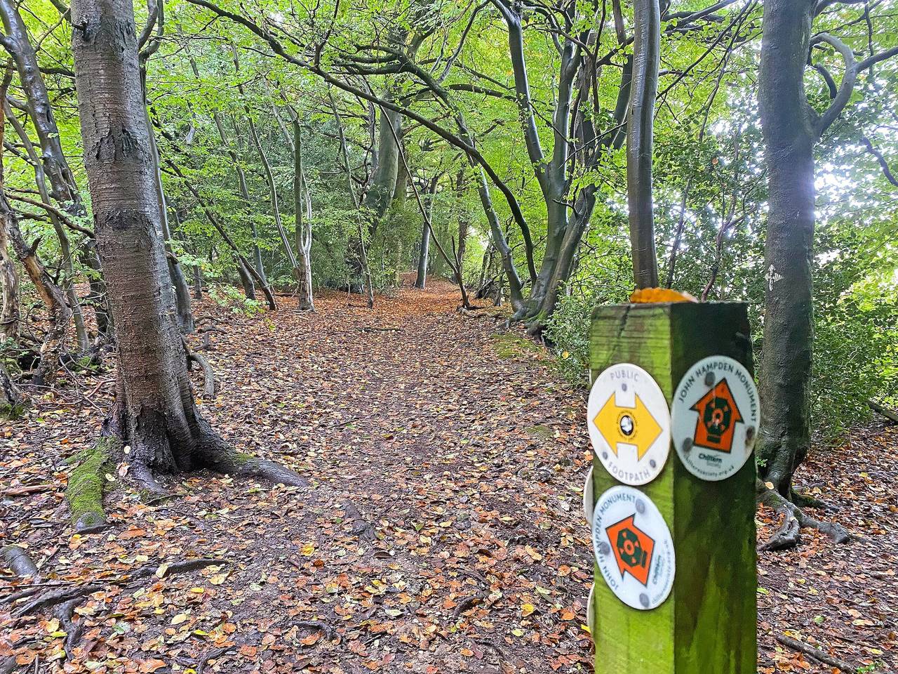 Woodland Lodge in Great Missenden, Chiltern Hills