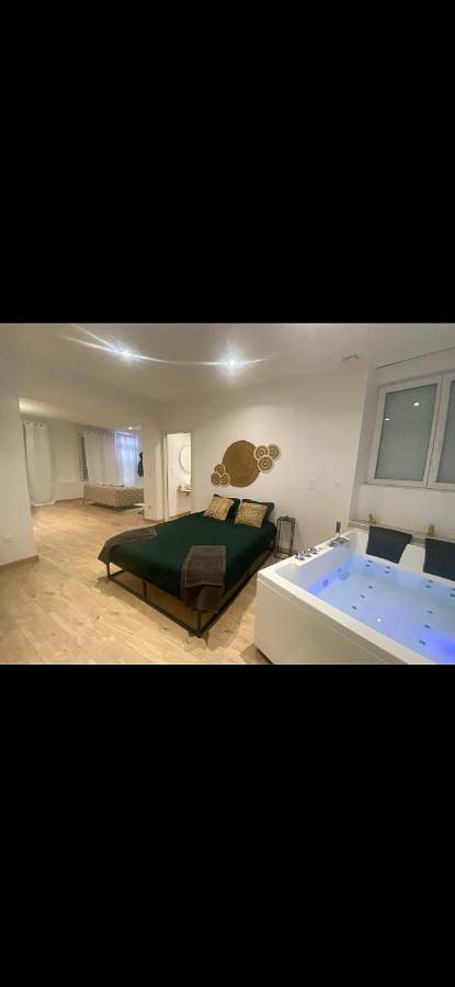 Appartement entier, Night Dream-jacuzzi-romantic in Nevers, Nièvre