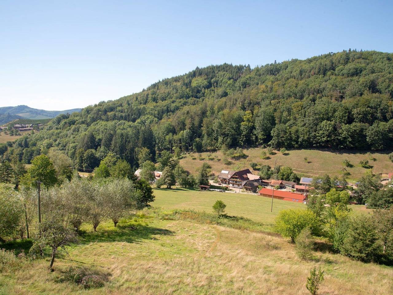Ganze Ferienwohnung, Haus Nilson - Ferienwohnung Velo, 76 qm, 2 Schlafzimmer, max. 4 Personen in Gengenbach, Kinzigtal