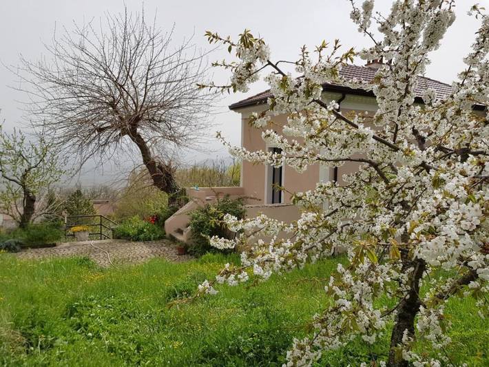 Location de vacances pour 4 personnes, avec jardin à Viggiano (Italie) - 4