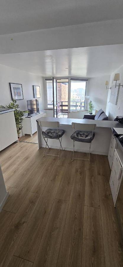 Gîte pour 3 personnes, avec balcon et vue, animaux acceptés dans Port Morny Deauville - 2