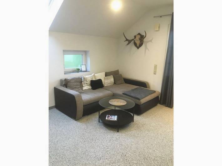 Ferienhaus für 4 Personen, mit Terrasse, mit Haustier in Großefehn - 2