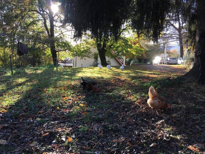Chambre d’hôte pour 2 personnes, avec vue et jardin dans l' Ariège - 4