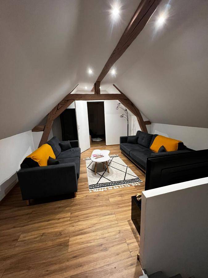 Appartement entier, Cozy loft between zoo and castles in Faverolles-sur-Cher, Région de Blois