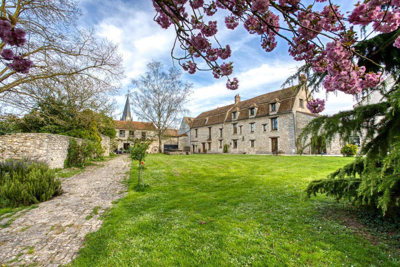 La Fauconnerie Du Roy in Montainville, Yvelines