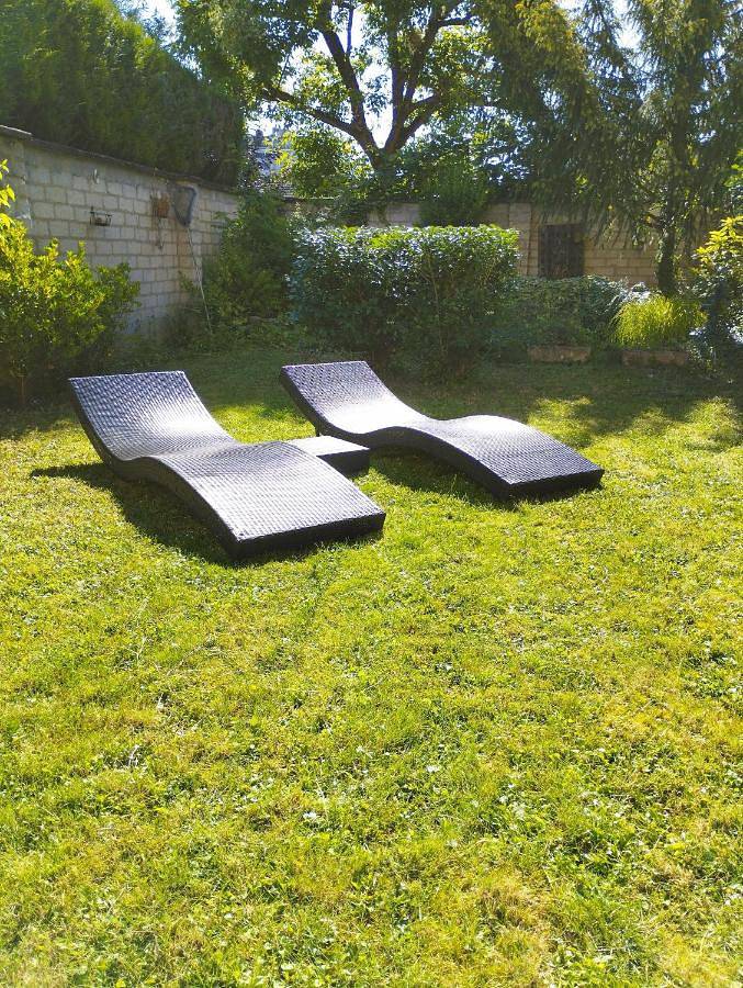 Location de vacances pour 10 personnes, avec terrasse et jardin à Épernay - 2