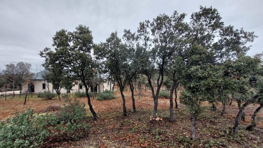 Chalet para 22 personas, con Balcón y Jacuzzi además de Terraza y Jardín en Provincia de Segovia - 3