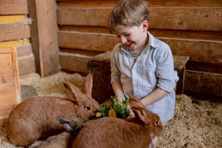 Bauernhof für 6 Personen, mit Sauna und Pool sowie Garten am Mittelrhein - 4