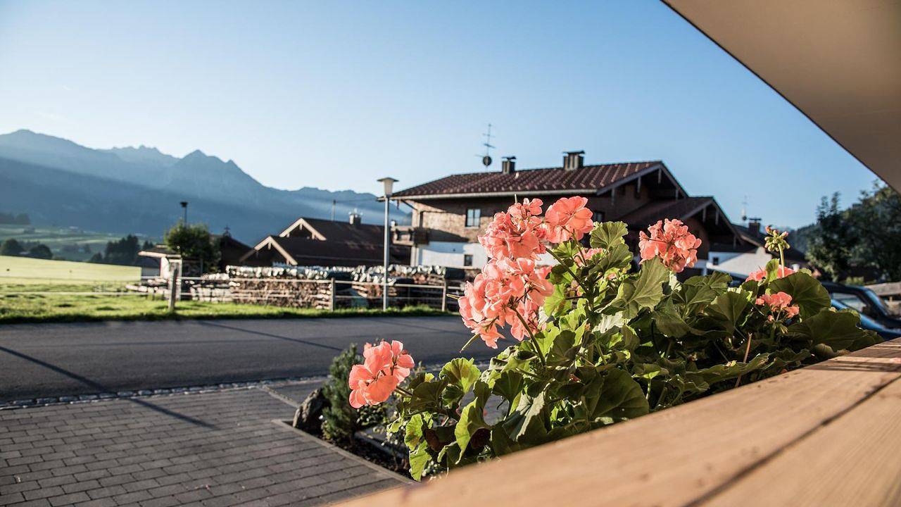Ganze Ferienwohnung, Ferienwohnung für 2 Personen (30 m²) in Bolsterlang in Sonderdorf, Bolsterlang