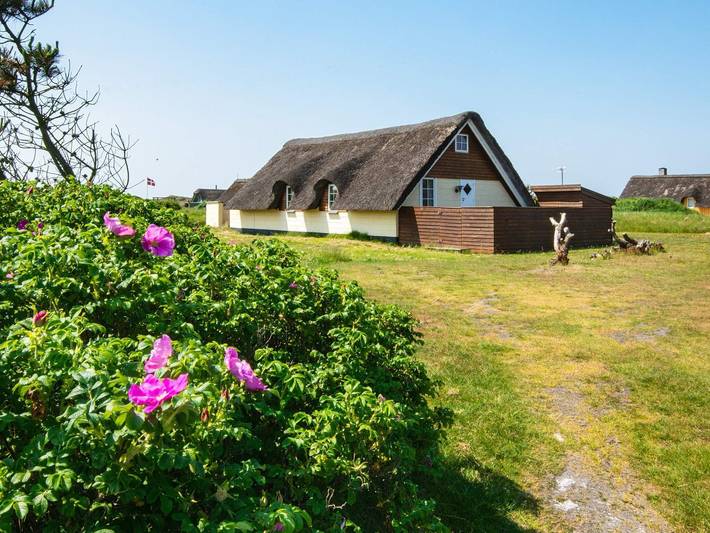 Ferienhaus für 6 Personen, mit Terrasse und Sauna in Holmsland Klit