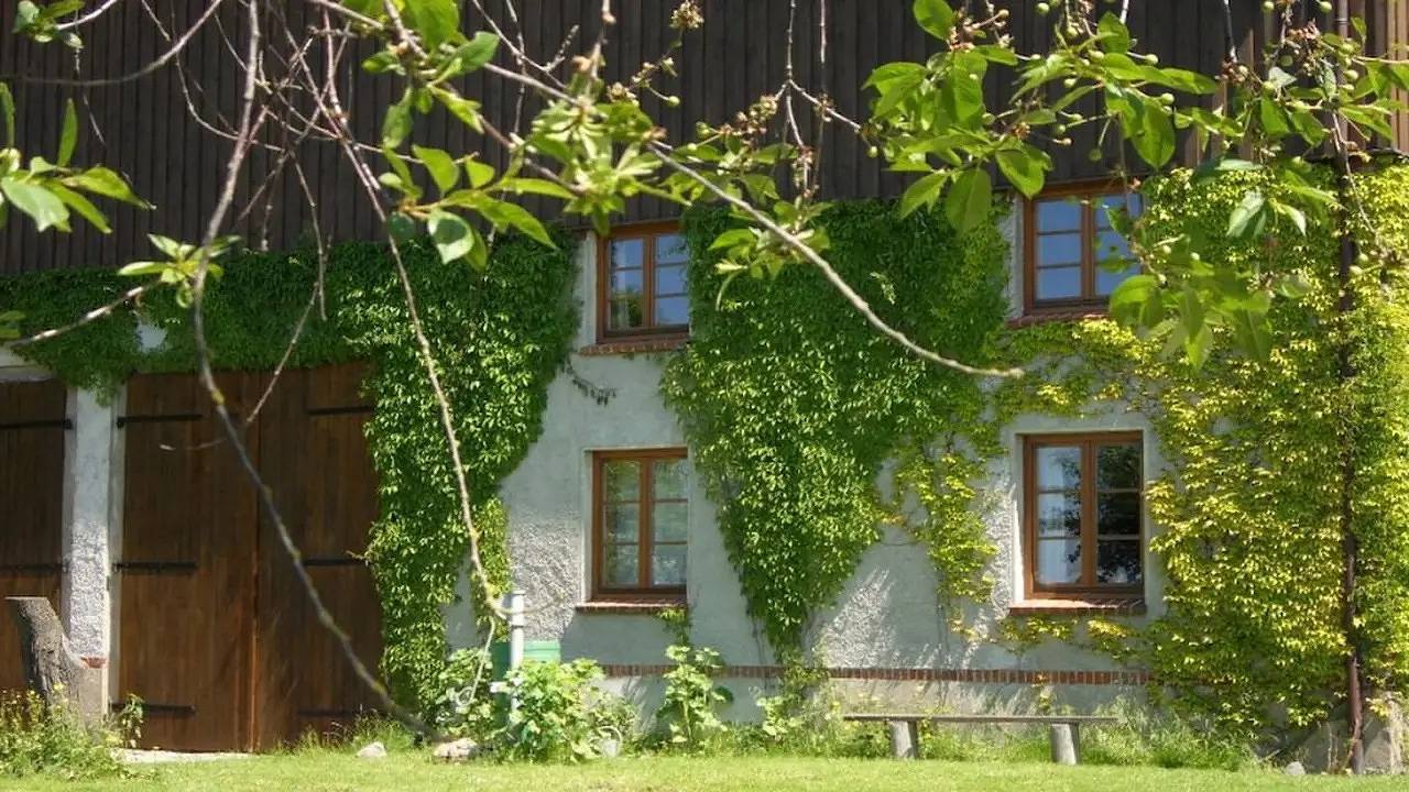 Ferienhaus für 2 Personen (25 m²) in Thorstorf in Thorstorf, Warnow