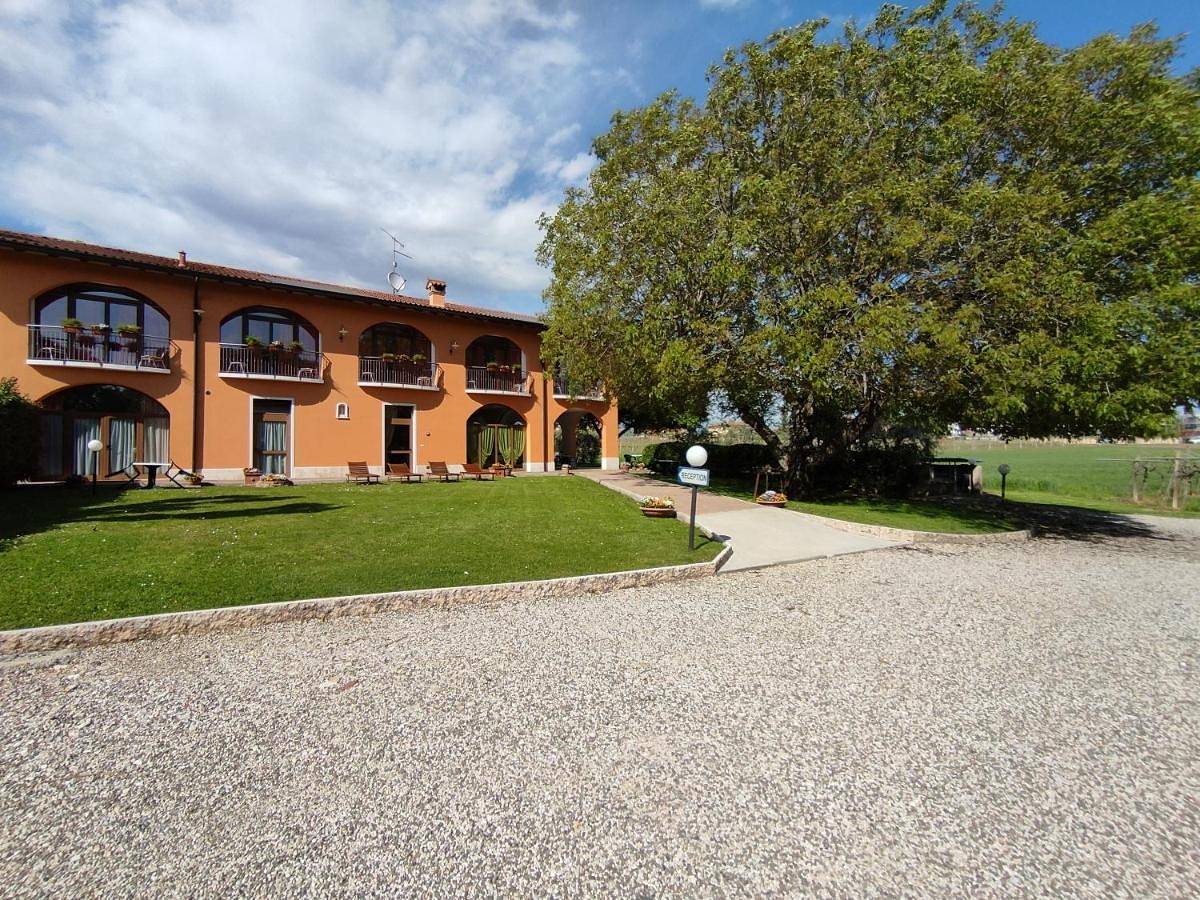 Agriturismo La Vigna in Colà, Lazise