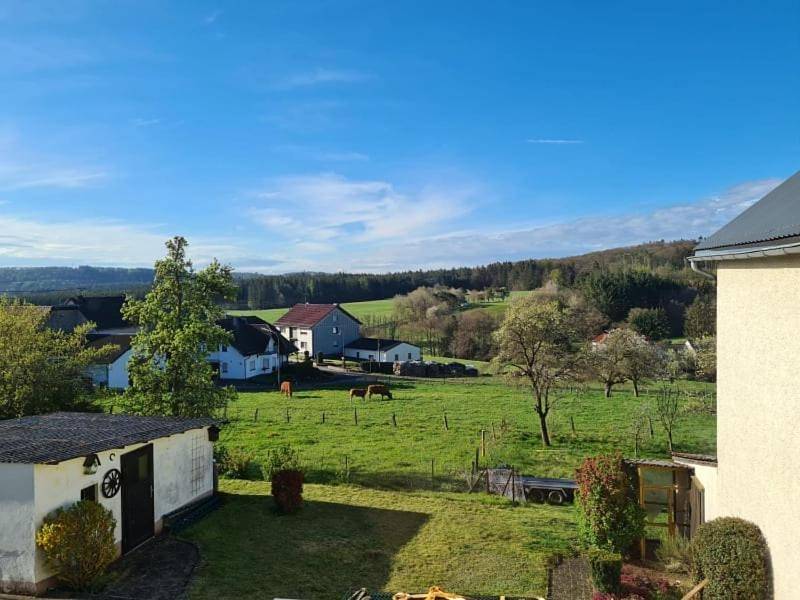Double Room with Shared Bathroom in Drees, Vulkaan-Eifel