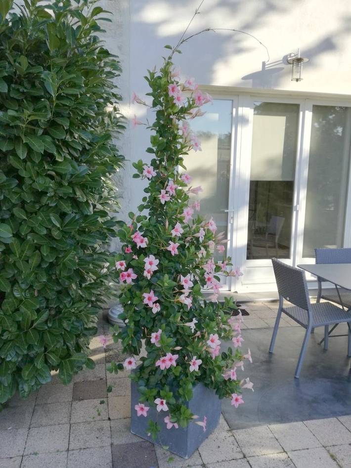 Chambre d’hôte pour 2 personnes, avec jardin ainsi que piscine et terrasse dans Haute-Saône - 2