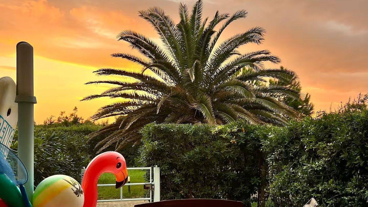 Ganze Ferienwohnung, Ferienwohnung für 4 Personen (60 m²) in Calambrone in Pisa, Italienische Riviera