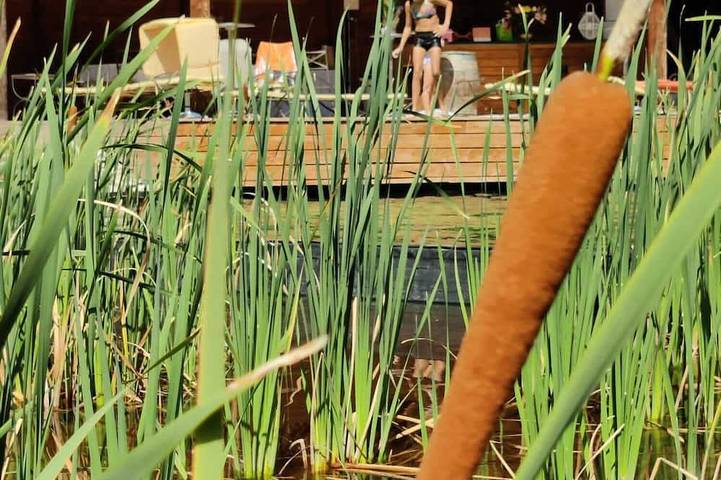 Location de vacances pour 2 personnes, avec jardin ainsi que piscine et terrasse à Uchaux - 4