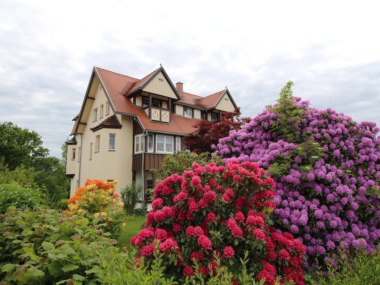 Ganze Ferienwohnung, Arthouse Lilienstein - Ferienwohnung Rose, 1 Schlafraum in Porschdorf, Bad Schandau