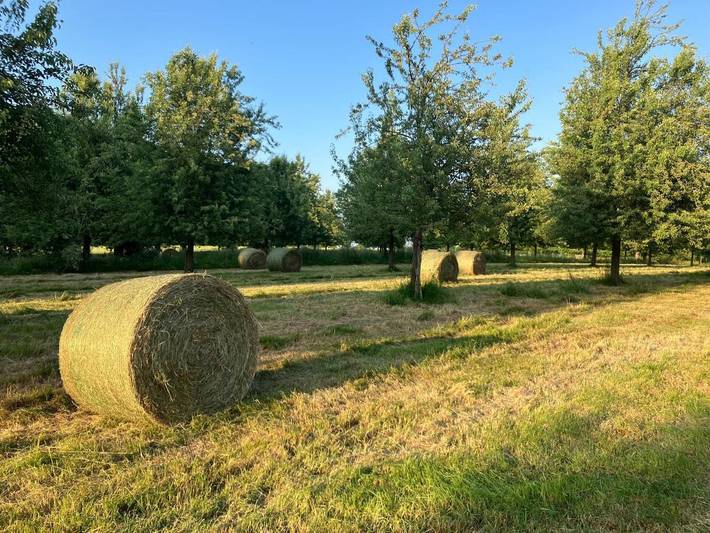Chambre d’hôte pour 11 personnes, avec terrasse ainsi que jardin et vue dans Orne - 4