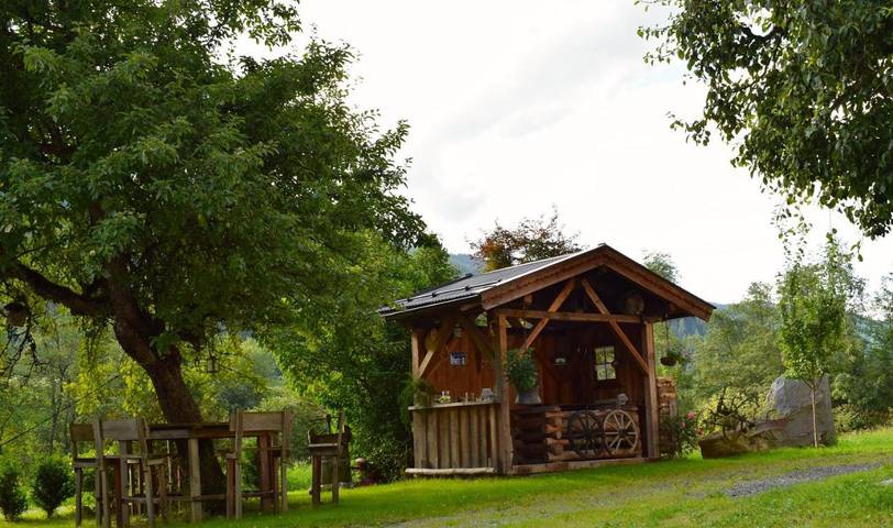 Ferienwohnung für 4 Personen, mit Terrasse und Garten sowie Ausblick in Kelchsau - 3
