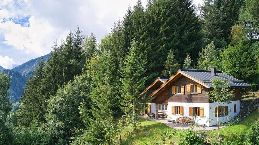 Chalet pour 10 personnes, avec jardin, animaux acceptés dans Brandnertal