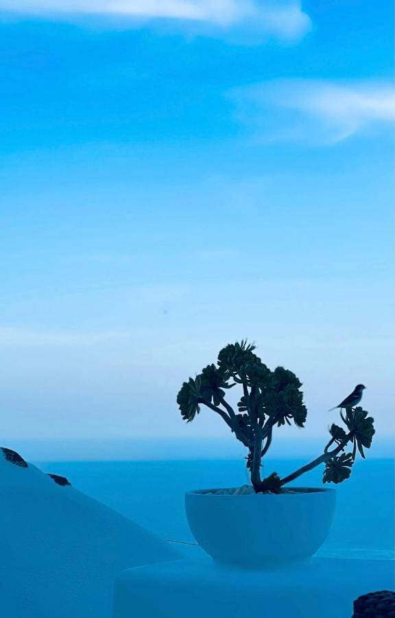 Villa para 4 pessoas, com vista e jardim e ainda terraço - 1