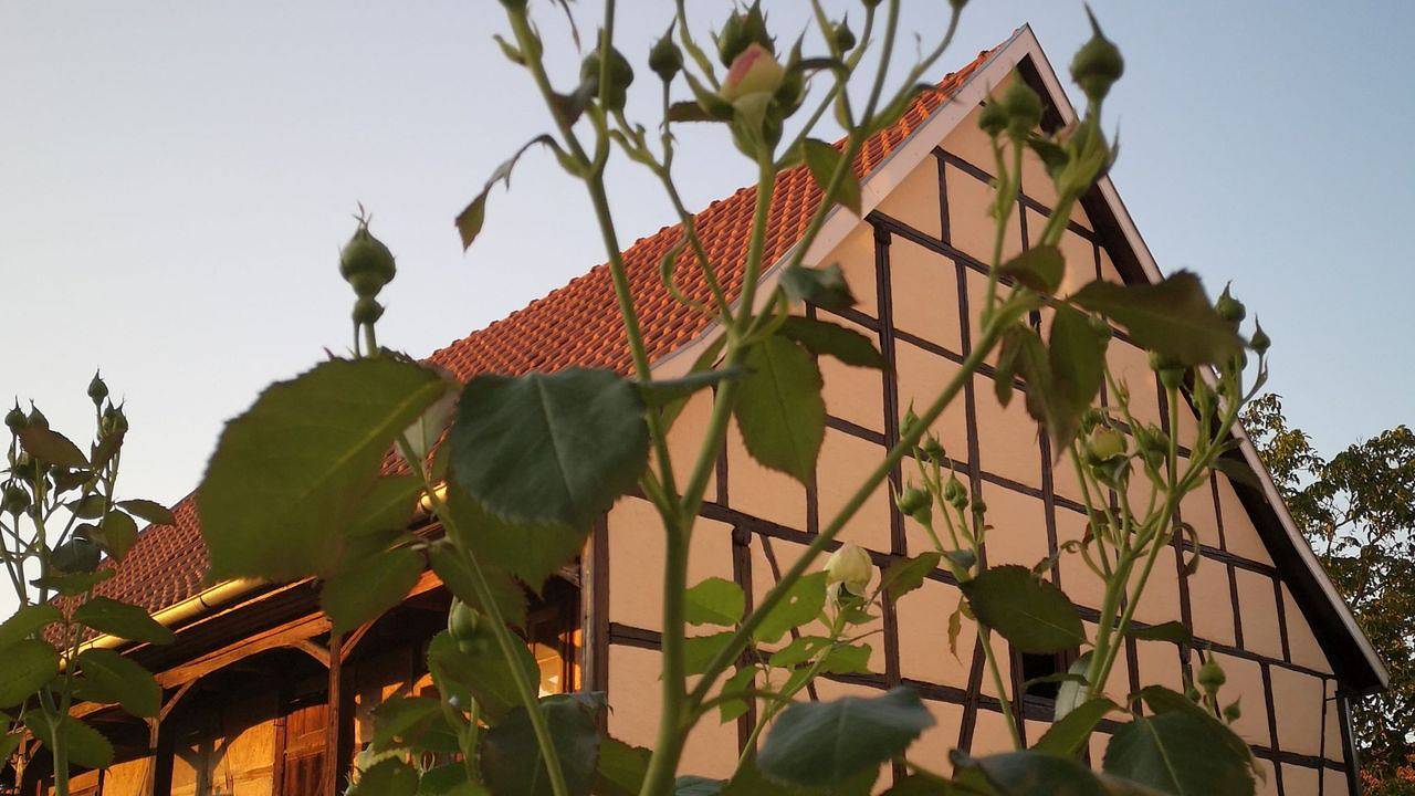 Apartamento vacacional entero, Ferienwohnung für 5 Personen (100 m²) in Weißensee in Corazón de Turingia