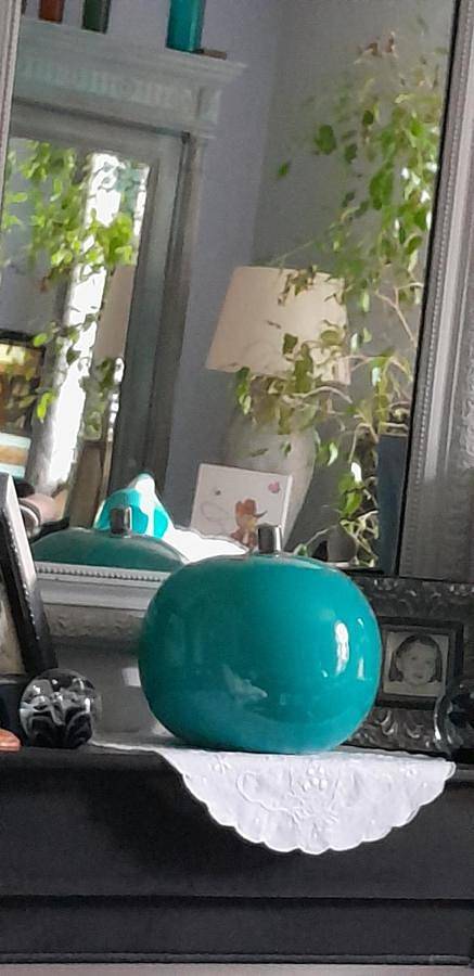 Maison d’hôte pour 2 personnes, avec jardin ainsi que terrasse et vue, animaux acceptés dans Parc naturel régional des Grands Causses - 2