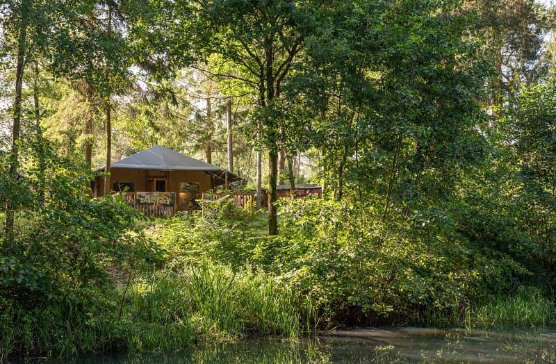 Rcn het Grote Bos — Safaritent Lommerlust in Doorn, Provincie Utrecht