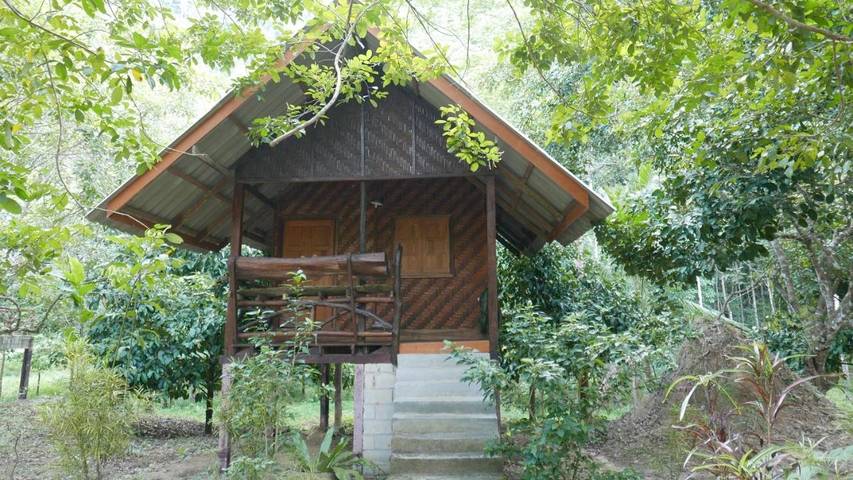 Station pour 2 personnes, avec jardin dans Khao Sok - 2