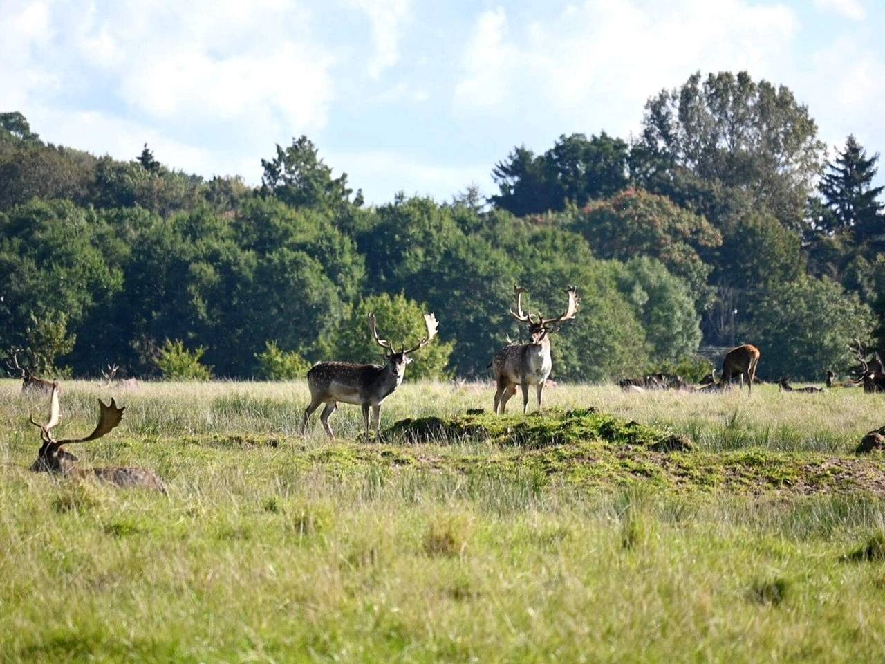 Middelfart Home  Kostenloser Zugang zum Wasserpark in Kleiner Belt