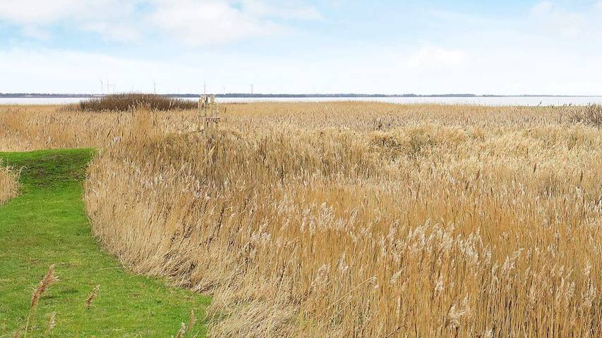 Ferienhaus für 7 Personen, mit Sauna und Terrasse sowie Whirlpool in Thorsminde - 3