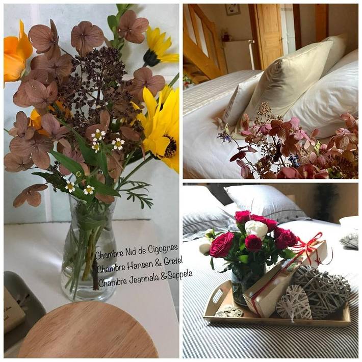 Gîte pour 2 personnes, avec jardin et vue à Hengwiller