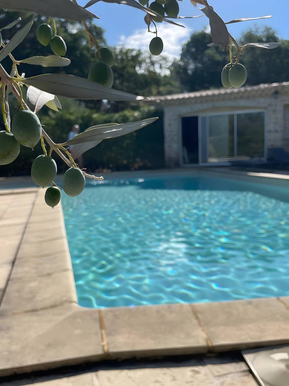 Apartamento entero, Gîte 'Gite Du Petit Bois' con piscina compartida, Wi-Fi y aire acondicionado in Villedieu, Vaucluse