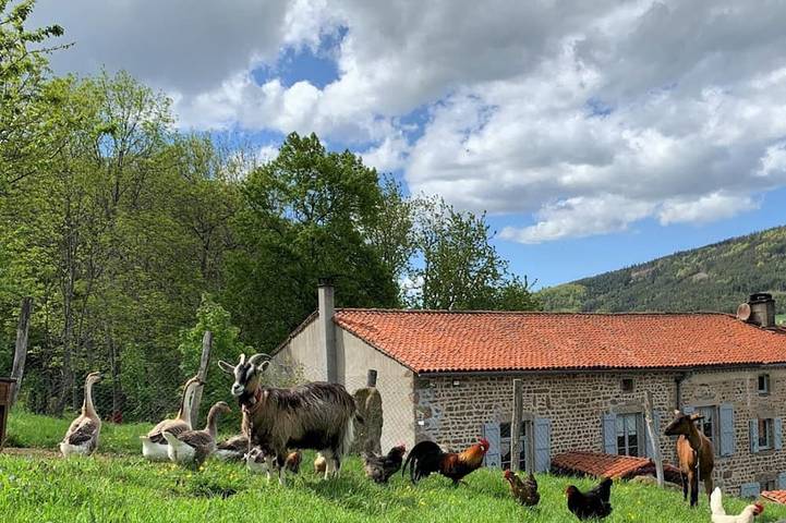 Gîte pour 12 personnes, avec Terrasse et Jardin à Sauvain