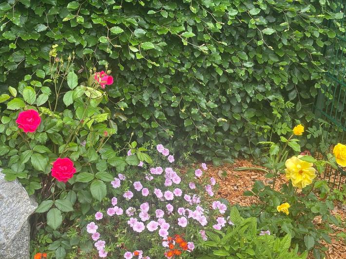 Ferienhaus für 6 Personen, mit Garten in Esgrus - 3