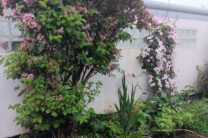 House 300 metres from the thalasso and beaches in Pornic, Côte de Jade