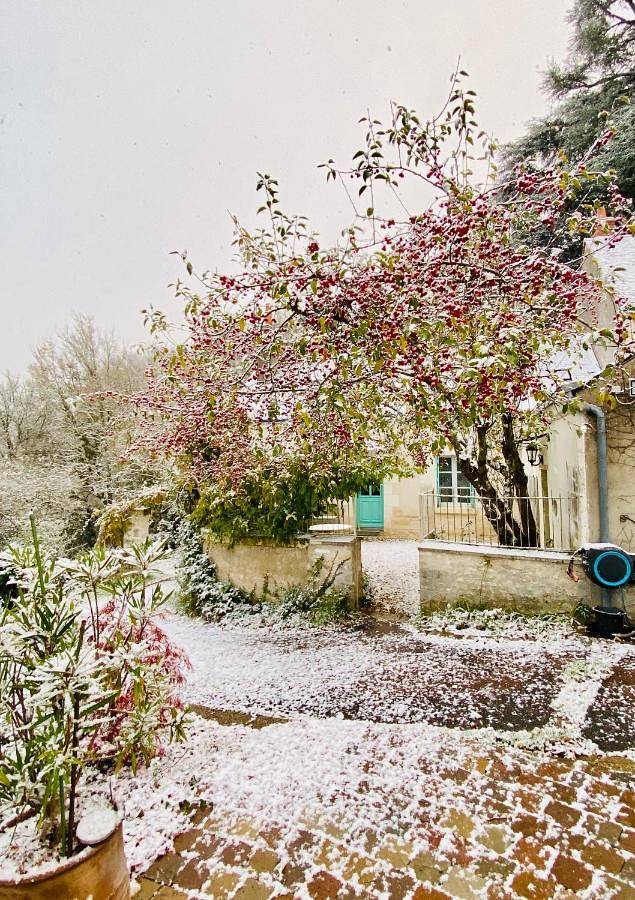 Location de vacances pour 7 personnes, avec jardin à Chisseaux - 2