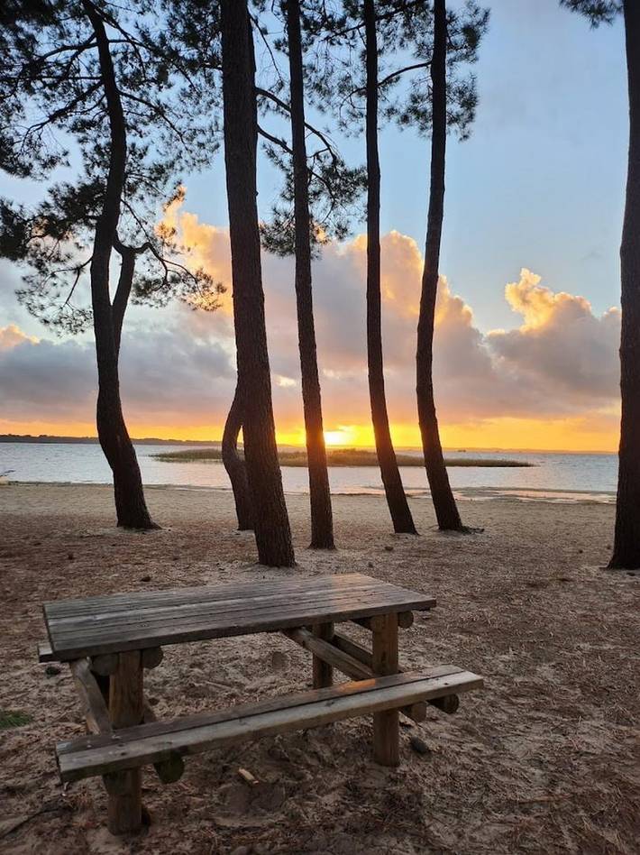 Gîte pour 4 personnes, avec jardin, animaux acceptés dans Lac de Biscarrosse - 3