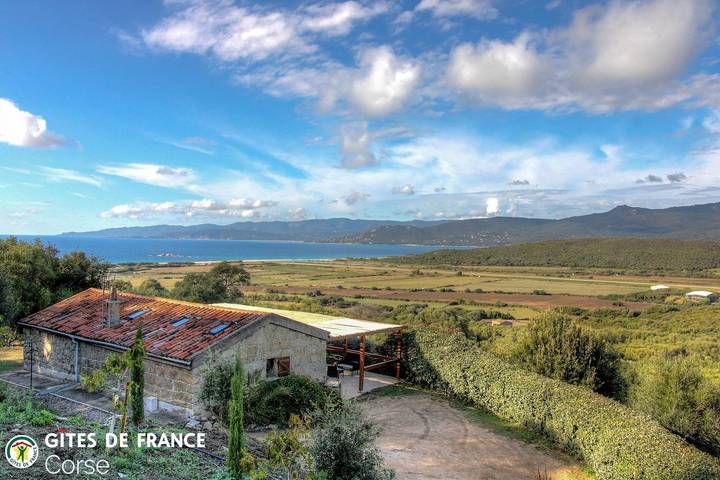 Gîte für 4 Personen, mit Terrasse in Propriano