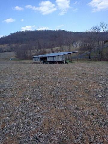 Cabin for 4 Guests in Fauquier County, Picture 3