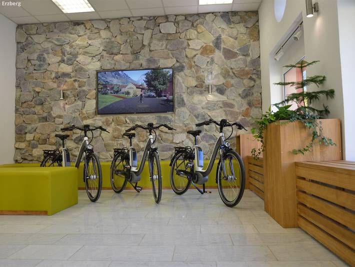 Ganze Wohnung, Ferienwohnung mit Infrarotsauna (ohne Kaution) in Eisenerz, Östliche Obersteiermark