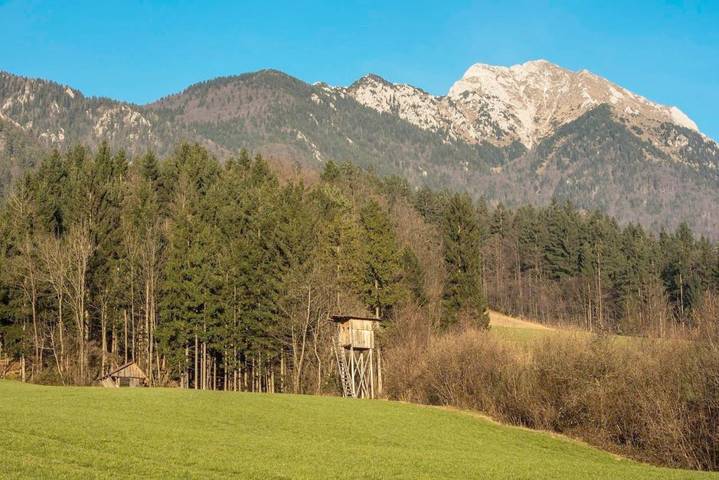 Location de vacances pour 6 personnes, avec jardin et vue, animaux acceptés à Kranj - 4