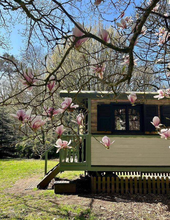 Location de vacances pour 8 personnes, avec jacuzzi et jardin à Caden - 3