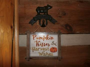 Chalet for 15 Guests in Haywood County, Picture 3