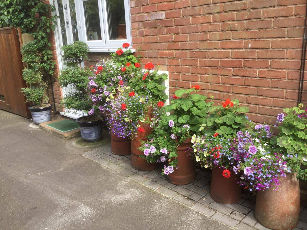 Albertine ,A warm welcome awaits you ,Offering en-suite room only accommodation,Ideal location for Solent Way ,High Street ,Isle of Wight ,New Forest in Lymington, Hampshire