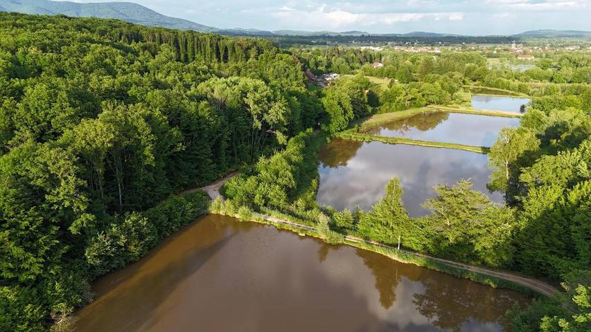 Ferienhaus für 4 Personen, mit Terrasse und Ausblick sowie Seeblick und Garten in Franche-Comté - 2
